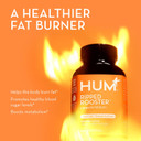Hum Lost It Bundle: Counter Cravings + Ripped Rooster + Celery Juice Fiber Gummies, The Ultimate Set For Healthy Weight Management: Reduce Cravings, Boost Metabolism And Nurture Gut Health