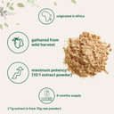 Sustainably Africa Grown, Pure African Mango Powder (Irvingia Gabonensis Powder, Wild Mango Extract), 1 Pound (6 Months Supply), Wild Harvest, Supports Metabolism And Fat Burning, Non-Gmo, Vegan