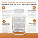 Pure Therapro Rx Digestive Enzymes, Probiotic Digest Full Spectrum Digestion Support Supplement For Women & Men, With Saccharomyces Boulardii For Gut Health, Gluten & Dairy Free (90 Vegan Capsules)