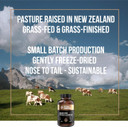Grass Fed Beef Organs, Beef Organ Capsules, Beef Organ Supplement, Organ Supplement Grass Fed, Organ Meat Capsules, Grass Fed Organ Complex - 9 Organs - Beef Liver, Brain, Thymus, Lung, Gallbladder