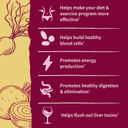 Garden Of Life Organic Beet Root Powder With Antioxidants, Vitamin C, Probiotics & Apple Cider Vinegar For Digestive & Liver Health  Beets Detox  Vegan, Non Gmo, Cranberry Pomegranate, 30 Servings