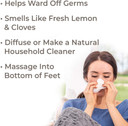 Plant Therapy Germ Fighter Essential Oil Blend 100% Pure, Undiluted, Natural Aromatherapy, Therapeutic Grade 10 Ml ( Oz)0.33 Fl Oz