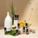 Cliganic Organic Essential Oils Set (Top 5-15Ml) + White Ceramic Diffuser