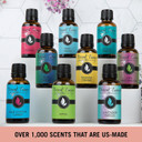 Pair (2) - Mountain Rain & Ocean Breeze - Premium Fragrance Oil Pair - 10Ml