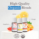 Pranarom - Coastal Mediterranean Diffusion Essential Oil Kit (3 - Pack Of 5Ml) Sorrento, Calabria, And Valencia - 100% Pure Essential Oil | Usda And Ecocert Certified Organic