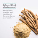 Nutricology Botanical Adapt - Hpa Axis, Ashwagandha, Stress, Adrenal - 60 Vegetarian Capsules