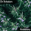 Dr. Schulze's Brain Formula 2 oz. - Vegan and Wild-Harvested | Stimulates Circulation and and Improved Mental Focus