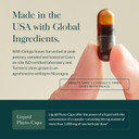 Gaia Herbs Agile Mind - Brain & Cognitive Support Herbal Supplements - With Organic Turmeric Root, Bacopa, Black Pepper, And Ginkgo Biloba - 60 Vegan Liquid Phyto-Capsules (30-Day Supply)