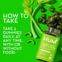 Hum Celery Juice Fiber Gummies The First Prebiotic Celery Juice Gummy, Supports Detoxification And A Daily Green Boost With Celery Juice, Chlorophyll, And Prebiotic Fiber For Women And Men (60 Count)