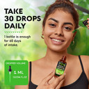 Vegan Chlorophyll Liquid Drops - Oxygen & Energy Boost, Skin Cleanse - Made In Usa Trusted Quality - Natural Deodorant & Detox - 12000 Mg Extra Strength Supplement - 2 Month Supply, Fresh Mint Flavor