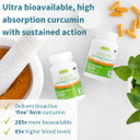 Liposomal Vitamin C 1000Mg & Zinc + Longvida Lipidated Curcumin 500Mg Vegan Bundle, Ultra Bioavailable Curcumin With High Absorption Liquid Immune Support Complex, By Igennus