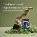 Gaia Herbs Black Elderberry (Sambucus Nigra) Extra Strength Gummies - Delicious Immune Support Supplement - Made With Certified Organic Black Elderberries For Immune System Support - 40 Gummies