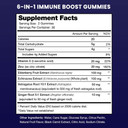 Immune Support Gummies | Powerful Blend Of Elderberry, Vitamin C, Zinc, Echinacea, Astragalus Root & Ginger | Immune Boosters For Adults & Kids Supplement | Vegan & Non-Gmo | Cherry | 60 Ct (2 Pack)