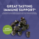 Nature'S Way Sambucus Relief Gummies With Elderberry, Vitamin C, Zinc And South African Geranium, Immune Support*, 60 Gummies