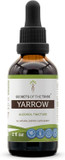 Secrets Of The Tribe Yarrow Alcohol Liquid Extract, Yarrow (Achillea Millefolium) Dried Leaf And Flower Tincture Supplement (2 Fl Oz)2.00 Fl Oz (Pack Of 1)