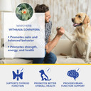 Ayush Pet Stress Support Ashwagandha Drops, Calm And Focus For Dogs Or Cats, Alcohol Free Supplement, 2 Oz
