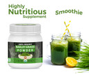 Organic Barley Grass Powder -14 Oz/400 Gm,Usda Certified I 100% Pure&Natural I Nutritionally Complete I Mix Into Smoothie Or Juice I Raw, Greenish Like Leaves, No Preservative,Non Gmo