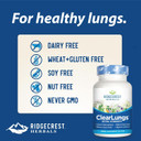 Ridgecrest Herbals Clearlungs Extra Strength, Herbal Decongestant, 60 Vegan Capsules