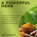 Go Nutrients Liver Edge & Turmeric Ease Healthy, & Easy To Take Liquid Turmeric Extract Liver Cleanse & Advanced Liver Supplement Milk Thistle Seed, Dandelion Root, Wormwood Leaf, Turmeric Root