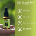 Go Nutrients Liver Edge & Turmeric Ease Healthy, & Easy To Take Liquid Turmeric Extract Liver Cleanse & Advanced Liver Supplement Milk Thistle Seed, Dandelion Root, Wormwood Leaf, Turmeric Root