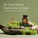 Gaia Herbs Adaptogen Performance Mushrooms & Herbs - Energy Support Supplement To Help Sustain Endurance And Stamina* - Contains Cordyceps And Ashwagandha - 60 Organic Vegan Capsules (30-Day Supply)