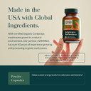 Gaia Herbs Adaptogen Performance Mushrooms & Herbs - Energy Support Supplement To Help Sustain Endurance And Stamina* - Contains Cordyceps And Ashwagandha - 60 Organic Vegan Capsules (30-Day Supply)