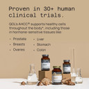 Premium Ahcc Immune Support Supplement - Most Bioavaliable Ahcc - Natural Mushroom Extract - Quality Of Life Ahcc Kinoko Rx