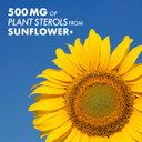 Bluebonnet Nutriton Plant Sterols 500Mg, White, 90 Count