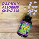 Bluebonnet Super Earth Rainforest Animalz Multiple Chewable, Light Grey/Purple, 90 Count