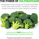 Broq - The Gold Standard Of Sulforaphane Supplements - More Than 2X Any Other Product - See Independent Lab Tests - The Worldã¢ÂS Only High Potency Natural Stabilized Sulforaphane - Same As Prostaphane