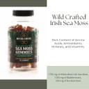 Bucklebury Wild Crafted Irish Sea Moss Gummies With Bladderwrack & Burdock Root - Chewable Natural Multivitamin Vegan Gummies For Immune, Thyroid, Digestive, And Gut Support - 60 Gummies