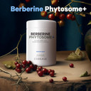 Codeage Berberine Phytosome Supplement - Berberine Hcl, Alpha Lipoic Acid, Phospholipid Complex - 2-Month Supply - Metabolic & Cardiovascular Support - Bioavailable, Gluten-Free, Non-Gmo - 60 Capsules