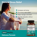 DailyNutra Calmness Formula - Stress and Worry Support Supplement - Promotes a Natural Calm Mood | Effective & Safe - Featuring Clinically Studied KSM-66 Ashwagandha (90 Capsules)