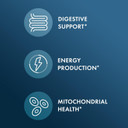 Dr. Mercola Unflavored Organic Resistant Starch Complex, 9.52 Oz. (30 Servings), Non Gmo, Gluten Free, Soy Free, Usda Organic