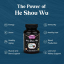 Dragon Herbs He Shou Wu | Prepared He Shou Wu Supplement To Support Energy, Mood, Immune Support, Healthy Aging, Hair | All Natural Ingredients, Non-Gmo (100 Capsules, 500 Mg Per Capsule