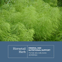 Eclectic Institute Raw Fresh Freeze-Dried Non-Gmo Horsetail | 90 Ct (375 Mg)
