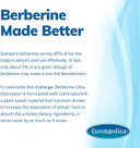Euromedica Berberine Ultra Absorption - 60 Capsules - Metabolic Support - Vegan, Non-Gmo, Gluten Free - 60 Servings