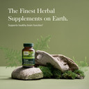 Gaia Herbs Bacopa - Brain And Cognitive Support Herbal Supplement - Made With Bacopa (Bacopa Monnieri) To Help Support A Thriving Mind - 60 Vegan Liquid Phyto-Capsules (Up To 60-Day Supply)