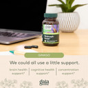 Gaia Herbs Nootropic Focus - Brain & Cognitive Support Supplement To Help Maintain Healthy Concentration* - With Saffron, Lemon Balm & Spearmint - 20 Liquid Phyto-Capsules (Up To 10-Day Supply)