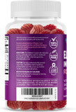 Havasu Nutrition Elderberry Gummies For Kids With Zinc & Vitamin C | Potent Herbal Supplement With Antioxidants To Support Immune Defense | Vegan Gummies