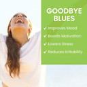 Himalaya Hello Joy Herbal Supplement, With Ashwagandha , Amla, Bacopa, Holy Basil/Tulsi, Positive Outlook, Supports Motivation, Stress Relief, Balanced Cortisol, Non-Gmo, Vegan, 60 Capsules