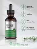 Horsetail Herb Liquid Extract | Alcohol Free | 2 Fl Oz | Vegetarian, Non-Gmo, & Gluten Free Supplement | By Horbaach