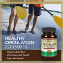 Lifetime Diosmin Flavonoid Complex | Circulation, Vein And Heart Health Support With Horse Chestnut | 60Ct, 30 Serv