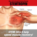 Musclemeds Stemtropin Stem Cell & Growth Factor Booster, Natural Supplement For Performance Enhancement & Anti-Aging, Muscle Building And Recovery, 60 Veggie Capsules