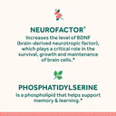 Neuriva Original Decaffeinated Clinically Tested Nootropic Brain Supplement For Memory, Focus & Concentration, Neurofactor & Phosphatidylserine, 28Ct Capsules