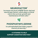 Neuriva Plus Brain Supplement For Memory And Focus Clinically Tested Nootropics For Concentration For Mental Clarity, Cognitive Enhancement Vitamins B6, B12, Phosphatidylserine 30 Capsules