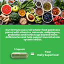 Paradise Herbs, Earth'S Blend Vitamin D3, Superfoods Base Of Probiotics And Organic Alkalizing Greens, Veggies & Berries, 90 Vegetarian Capsules90 Count (Pack Of 1)