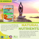 Sea Moss Gummies - Irish Sea Moss Raw Organic, Bladderwrack, Burdock Root. Contains Sea Moss Gel And Powder. Superfoods For Vegan, Keto And Dr Sebi Diet. Immune And Energy Boosting