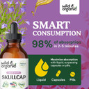 Skullcap Herb Tincture - Organic Skullcap Supplement - Nervous System Support - Vegan, Alcohol Free Liquid Extract - 2 Fl Oz2.00 Fl Oz (Pack Of 1)