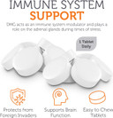 Zahler Dmg 500Mg - Dmg Dimethylglycine Supplement For Endurance & Immune System Support - Dmg Supplements With Amino Acid Glycine - Nootropic Brain Supplement - Kosher 1 A Day Tablets 90 Count